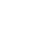 bladder