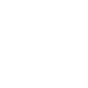 lungs